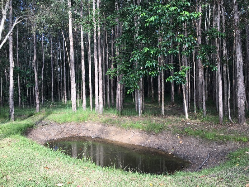 9 Crab Apple Court, Black Mountain QLD 4563