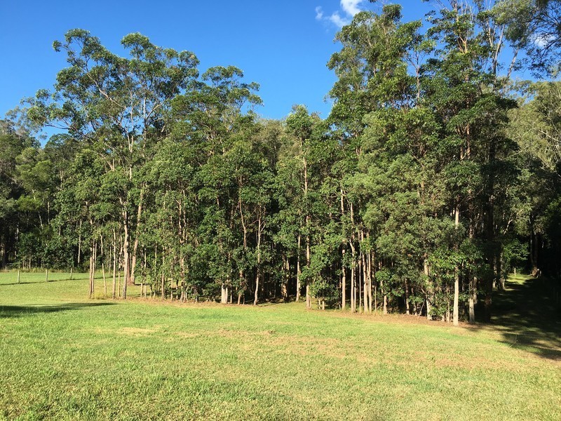 9 Crab Apple Court, Black Mountain QLD 4563