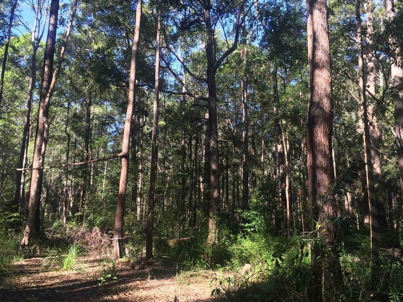 60 Hempsall Road, Cootharaba QLD 4565