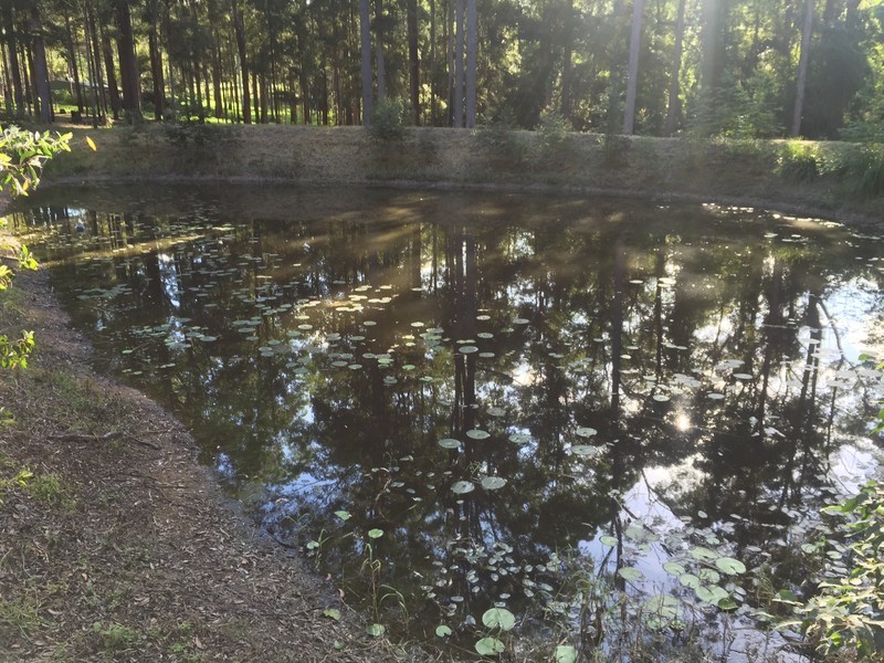 238 Kinmond Creek Road, Cootharaba QLD 4565