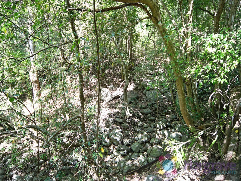 430 Gap Road, Kin Kin QLD 4571