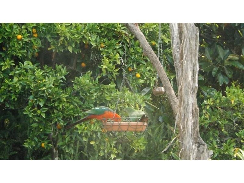 23 Blue Hills Drive, Rangeville QLD 4350