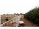 47 Ramsay Road, Cambooya QLD 4358