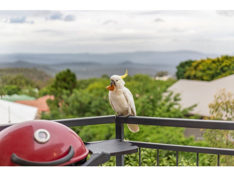 46 Windemere Terrace, Mount Lofty QLD 4350