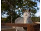 225 Blanchview Road, Blanchview QLD 4352