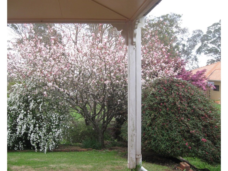 14 Windemere Terrace, Mount Lofty QLD 4350