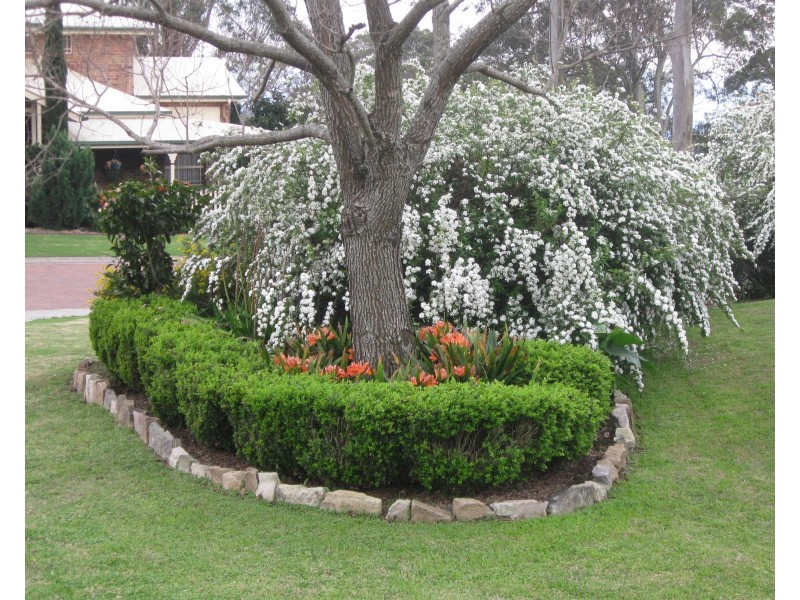 14 Windemere Terrace, Mount Lofty QLD 4350