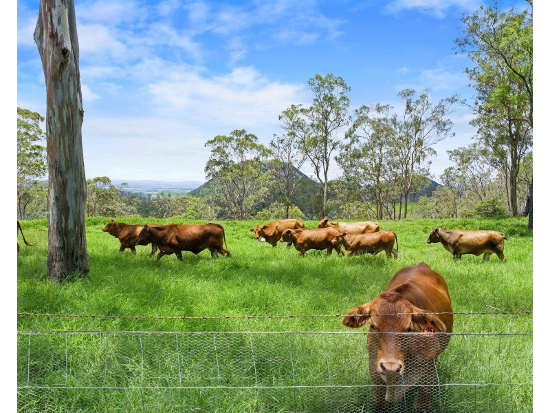 38 Stevenson Street, Redwood QLD 4350