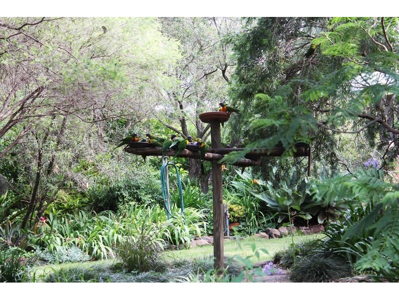 231 Hursley Road, Torrington QLD 4350