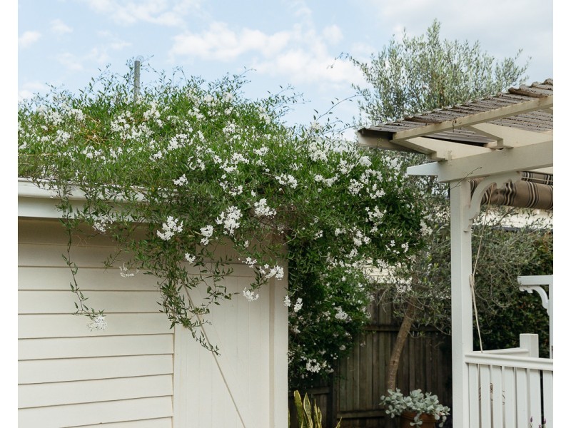 157 Bridge Street, North Toowoomba QLD 4350