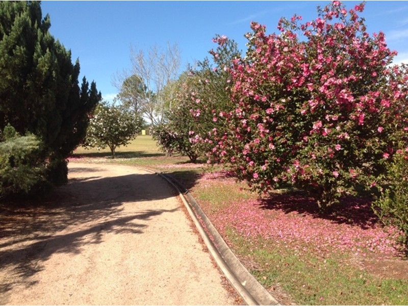 78 Reushle Road, Geham QLD 4352