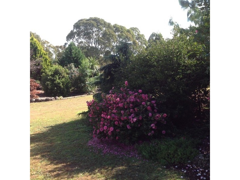 78 Reushle Road, Geham QLD 4352