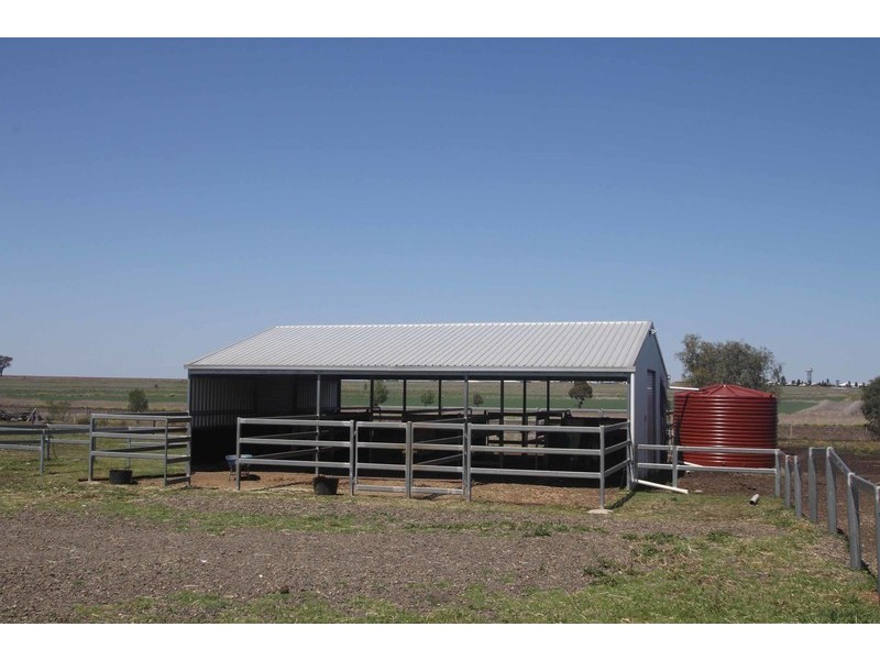 189 Shepperd Road, Wyreema QLD 4352