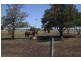 189 Shepperd Road, Wyreema QLD 4352