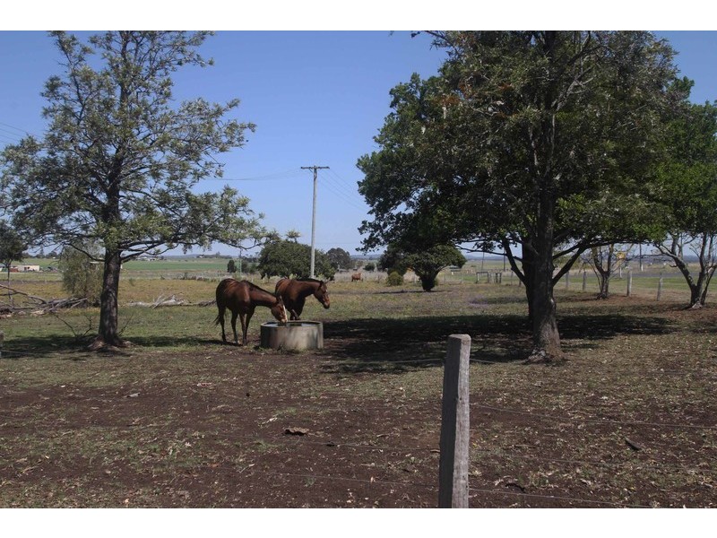 189 Shepperd Road, Wyreema QLD 4352