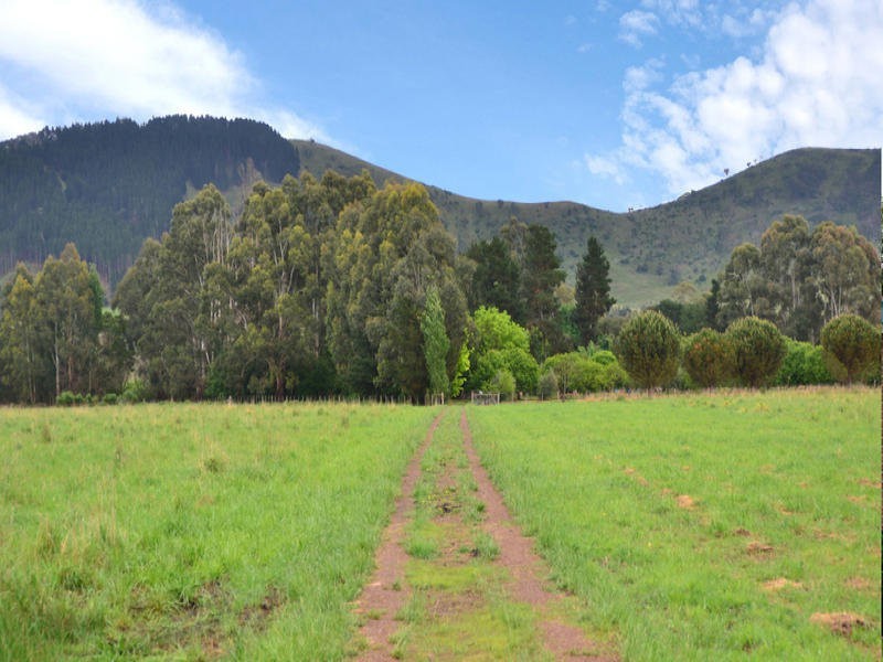 3008 Broadford – Flowerdale Road, Flowerdale VIC 3717
