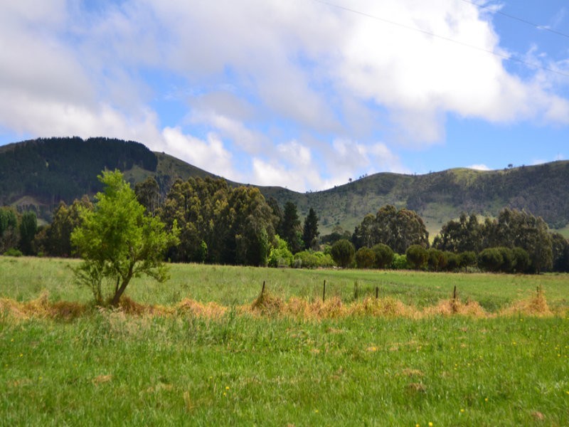 3008 Broadford – Flowerdale Road, Flowerdale VIC 3717