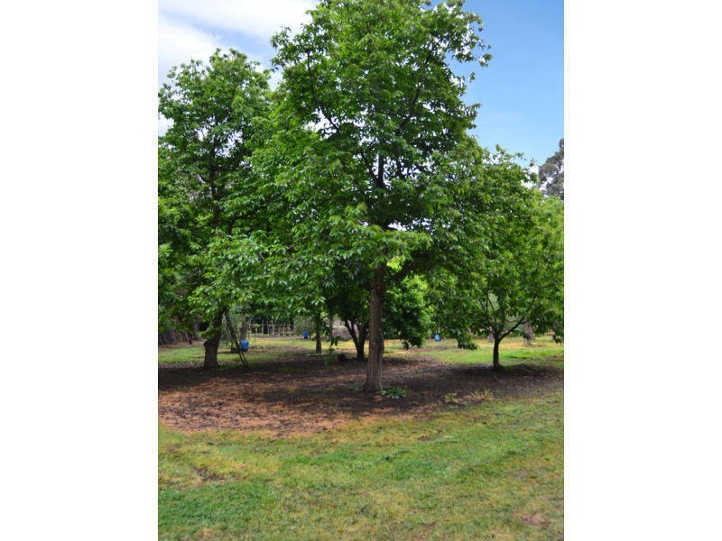 3008 Broadford – Flowerdale Road, Flowerdale VIC 3717