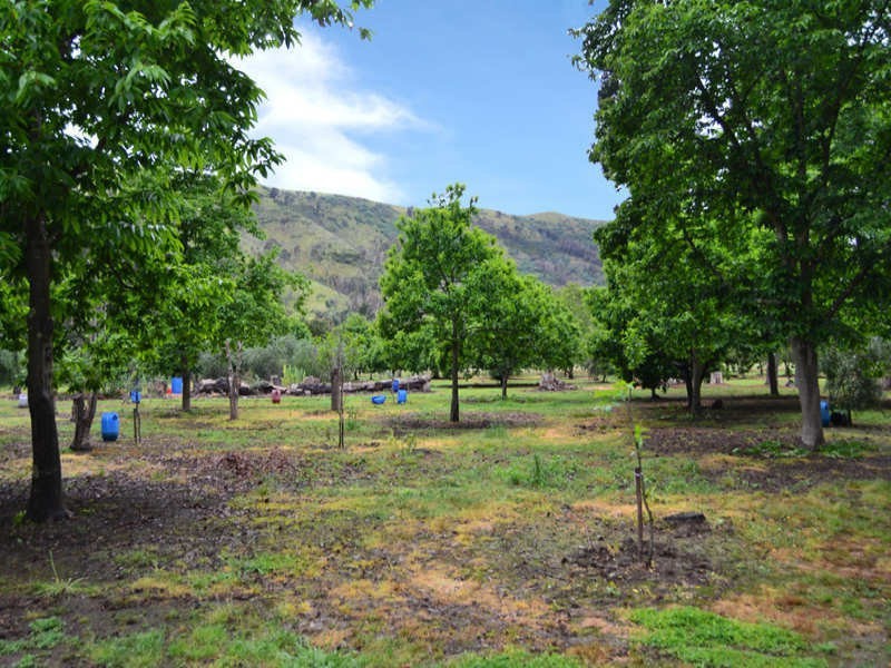 3008 Broadford – Flowerdale Road, Flowerdale VIC 3717