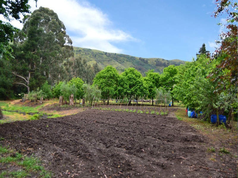 3008 Broadford – Flowerdale Road, Flowerdale VIC 3717