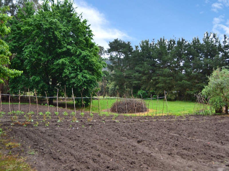 3008 Broadford – Flowerdale Road, Flowerdale VIC 3717