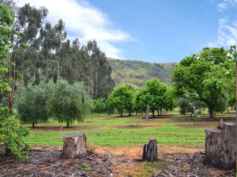 3008 Broadford – Flowerdale Road, Flowerdale VIC 3717