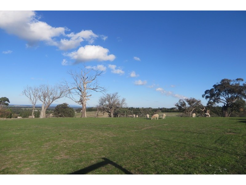 1490 Merriang Road, Woodstock VIC 3751