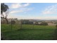 1490 Merriang Road, Woodstock VIC 3751