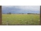 96 Bullion Avenue, Wollert VIC 3750