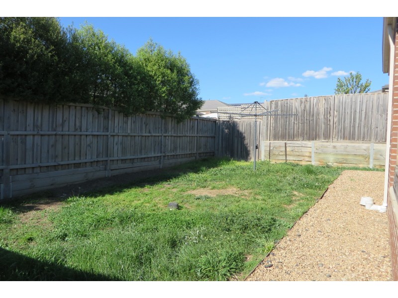 43 Senecio Drive, Doreen VIC 3754