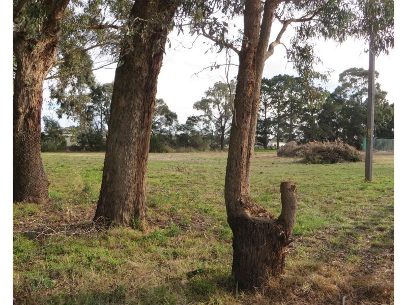 675 Bridge Inn Road, Doreen VIC 3754