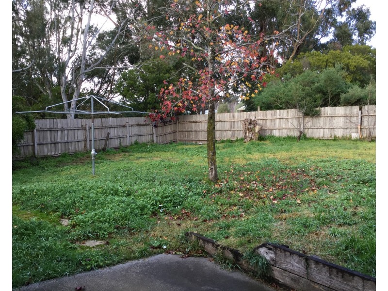 43 Affleck Street, Wandong VIC 3758