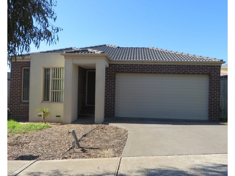 43 Senecio Drive, Doreen VIC 3754