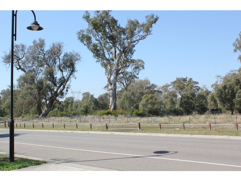17 Cuckoo Street, South Morang VIC 3752