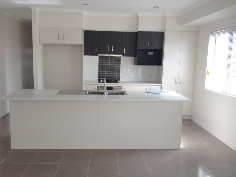 16 Foxtail Circuit, Brightwater, Mountain Creek QLD 4557