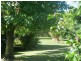 1 King Street, Railton TAS 7305