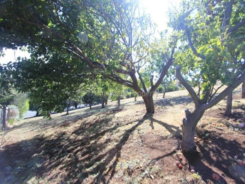 16 South Road, Penguin TAS 7316