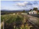 155 Spellmans Road, Upper Castra TAS 7315