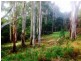 Tippetts Road, Mount Hicks TAS 7325