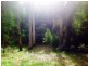 Tippetts Road, Mount Hicks TAS 7325