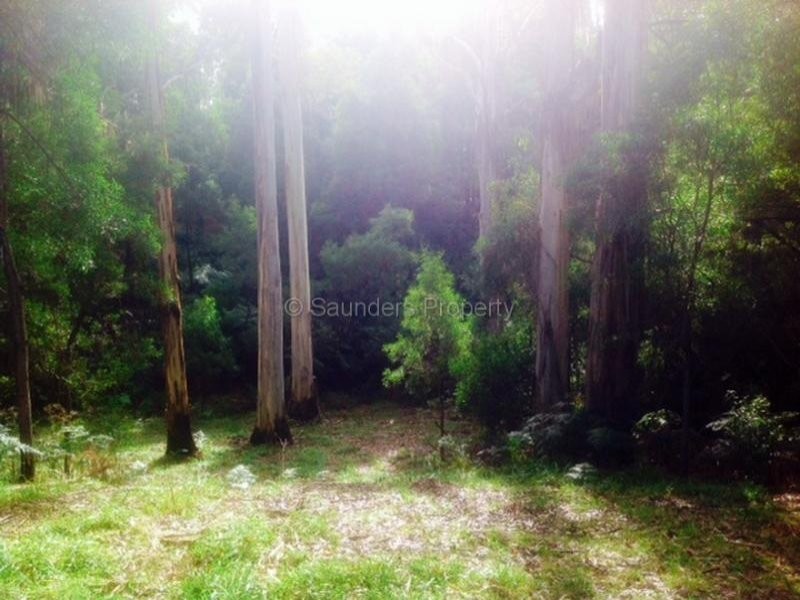 Tippetts Road, Mount Hicks TAS 7325