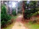 Tippetts Road, Mount Hicks TAS 7325
