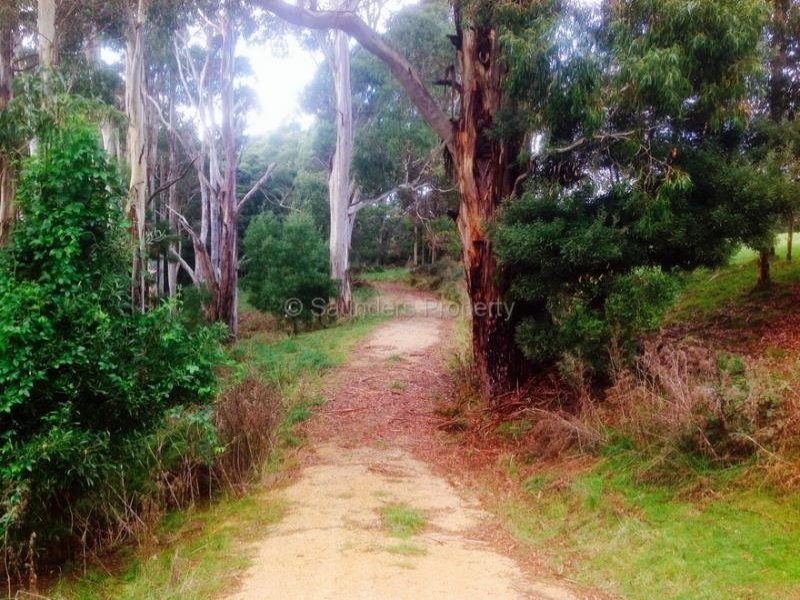 Tippetts Road, Mount Hicks TAS 7325