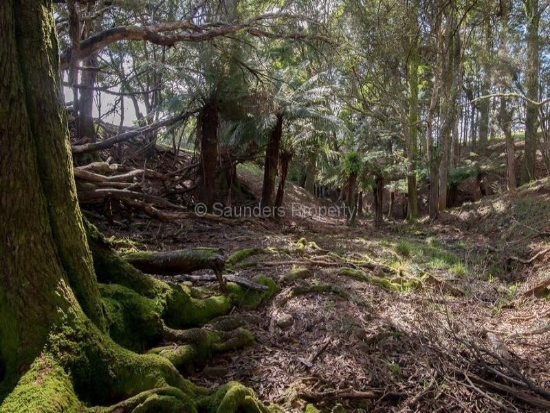 369 Takone Road, Takone TAS 7325