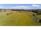 2345 Castra Road, Upper Castra TAS 7315