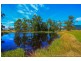 36055 Tasman Highway, Springfield TAS 7260