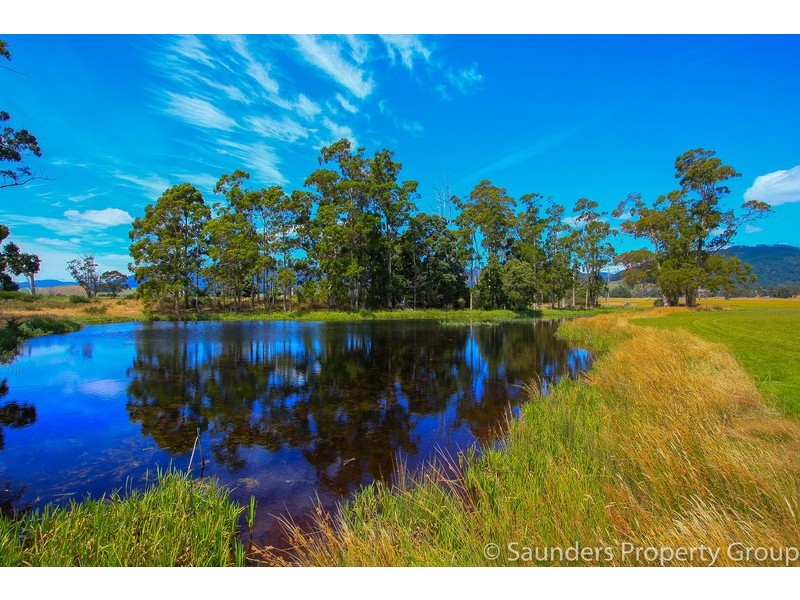 36055 Tasman Highway, Springfield TAS 7260