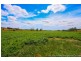 36055 Tasman Highway, Springfield TAS 7260