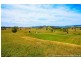 36055 Tasman Highway, Springfield TAS 7260