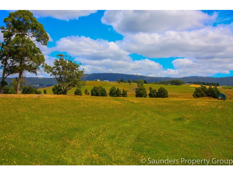 36055 Tasman Highway, Springfield TAS 7260
